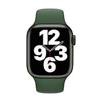 Apple Original Watch Strap